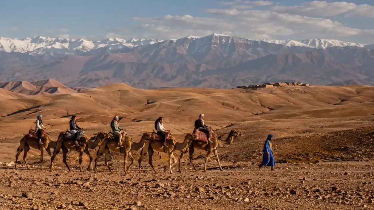 Caravane de dromadaires traversant le désert d'Agafay avec les montagnes de l'Atlas en fond