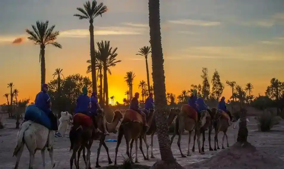 Balade paisible en dromadaire au coucher du soleil près de Marrakech