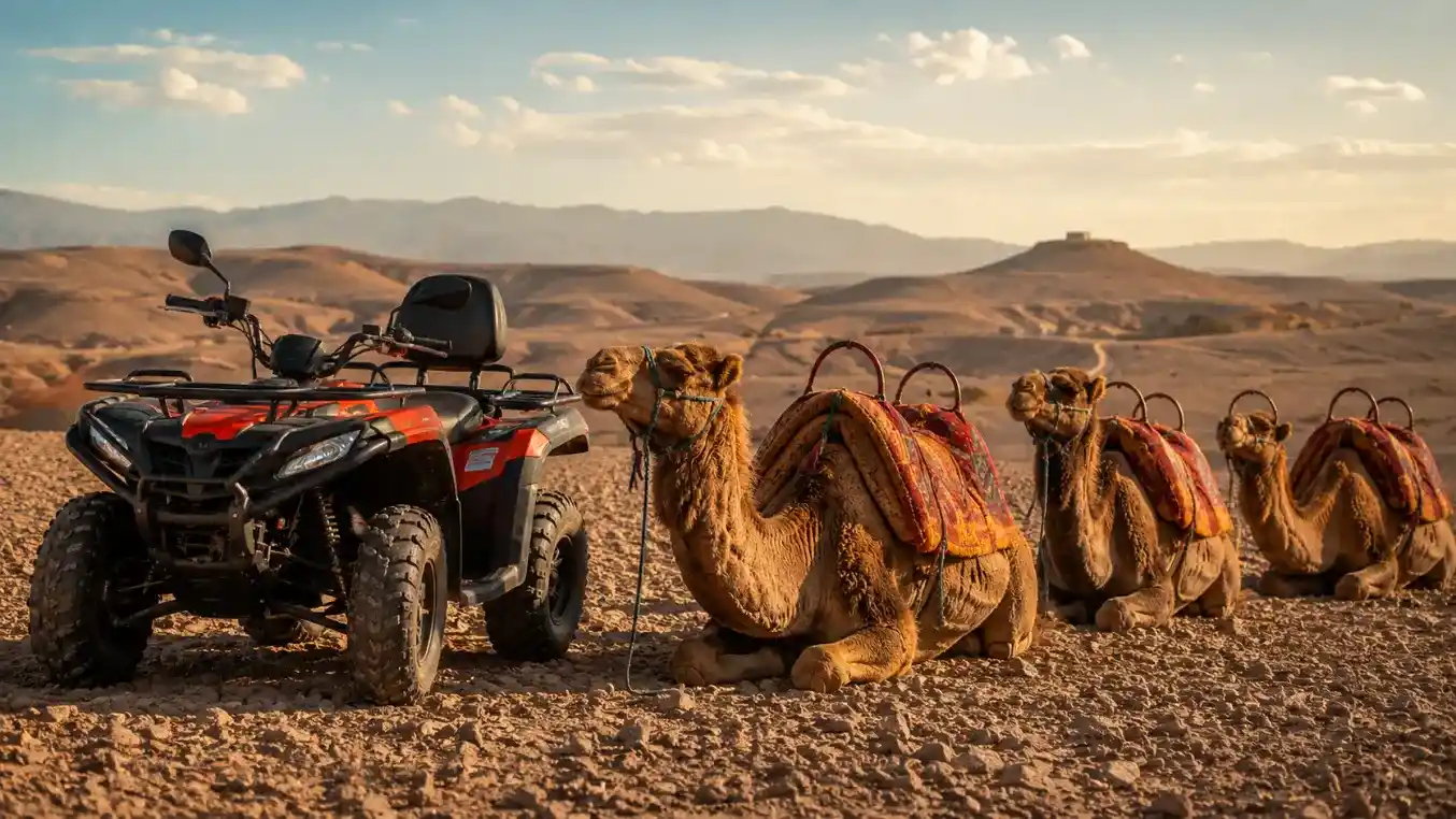 Quad et dromadaire dans le désert d'Agafay